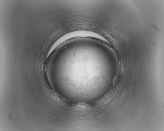 X0000116340475200912011353