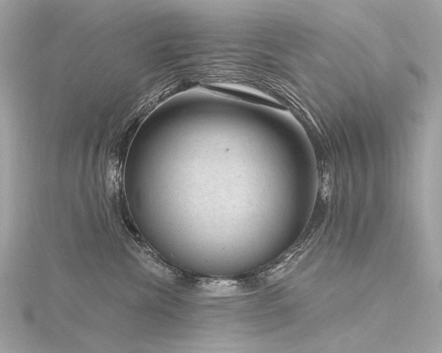 X0000116340476200912011353