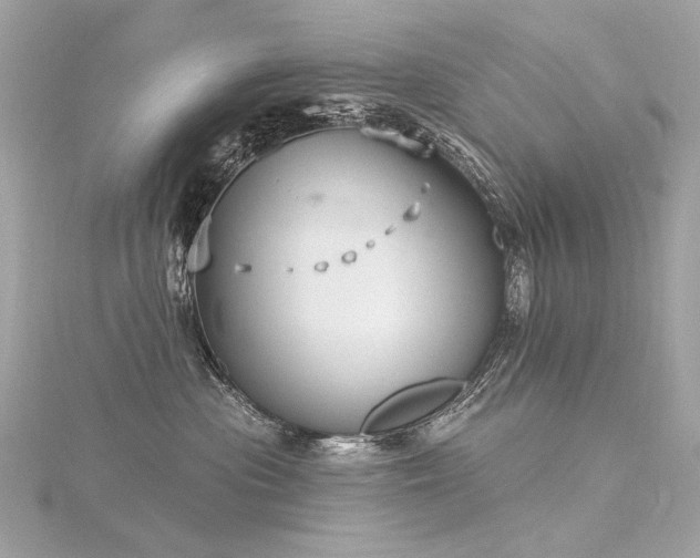 X0000116340477200912011353