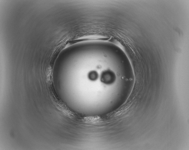 X0000116340480200912011353