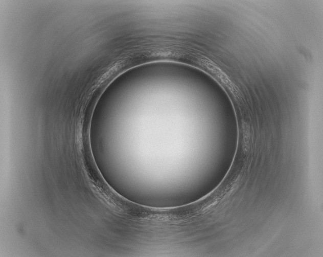 X0000116340482200912011353