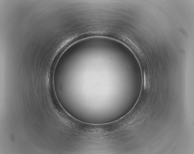 X0000116340483200912011353