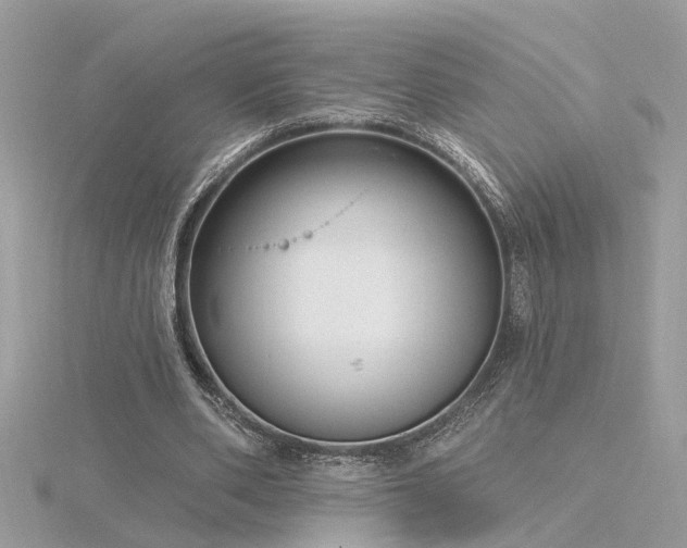 X0000116340486200912011353