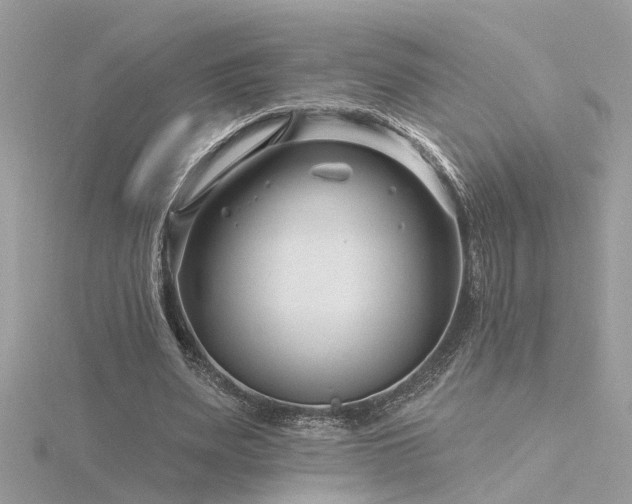 X0000116340487200912011353