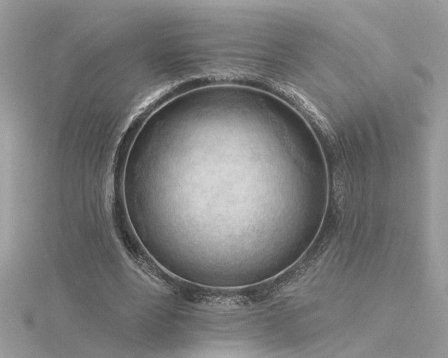 X0000116340488200912011353