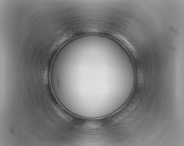 X0000116340489200912011353