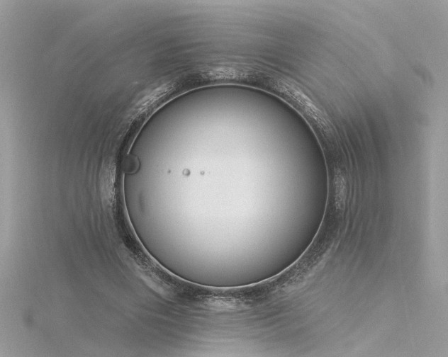 X0000116340490200912011353