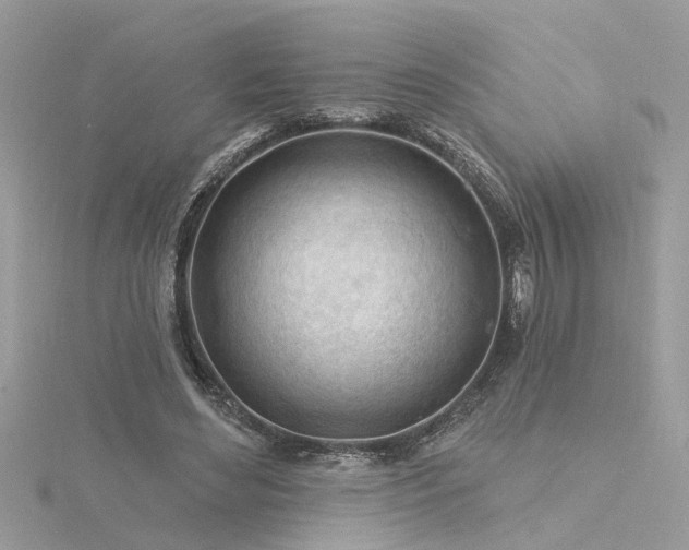 X0000116340492200912011353