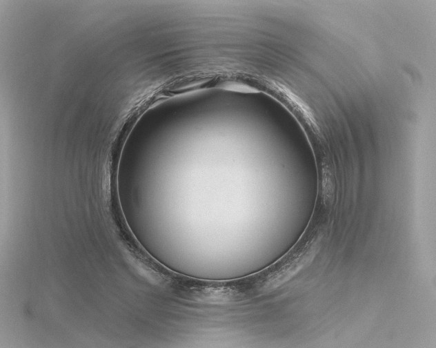 X0000116340493200912011353