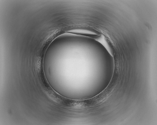 X0000116340495200912011353