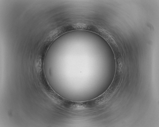 X0000116340498200912011353