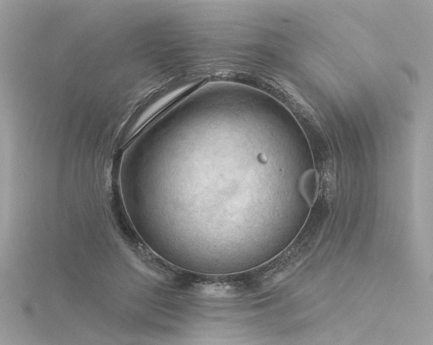 X0000116340500200912011352