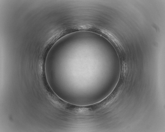 X0000116340501200912011352