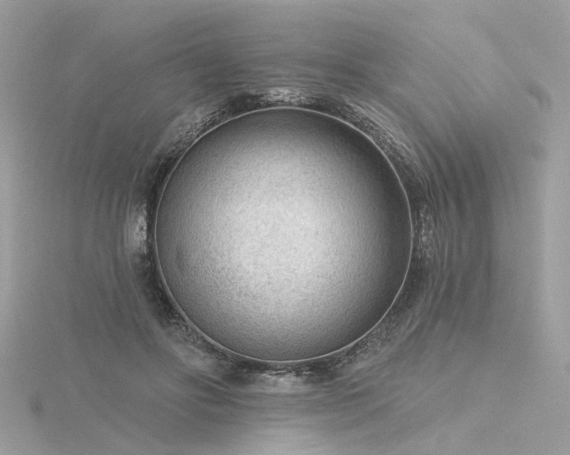 X0000116340502200912011352