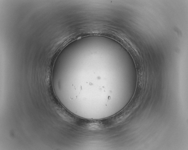 X0000116340505200912011352