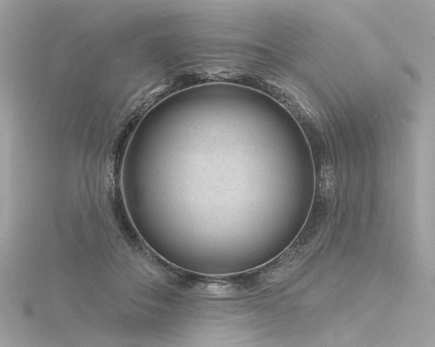 X0000116340506200912011352