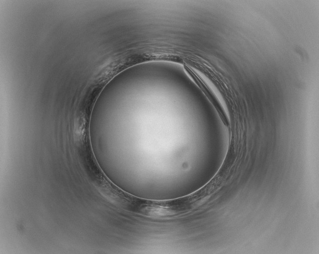 X0000116340507200912011352