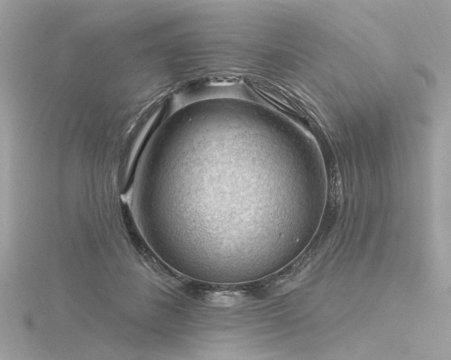 X0000116340508200912011352