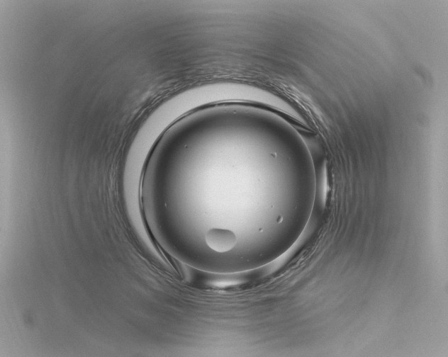 X0000116340509200912011352