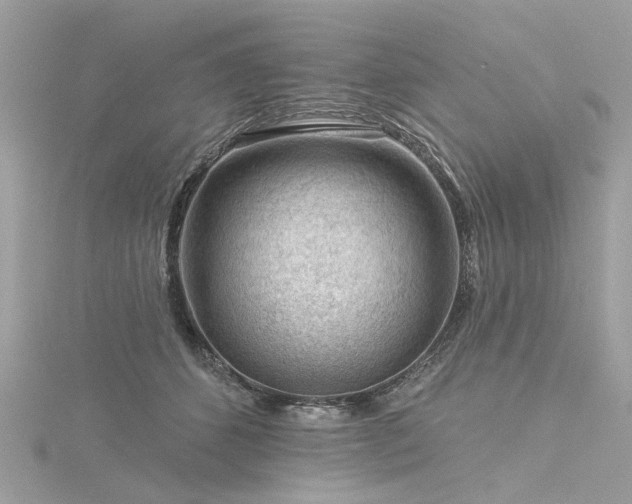 X0000116340512200912011352