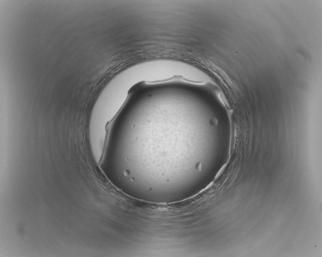 X0000116340513200912011352