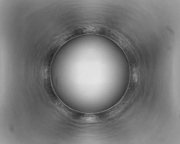 X0000116340514200912011352