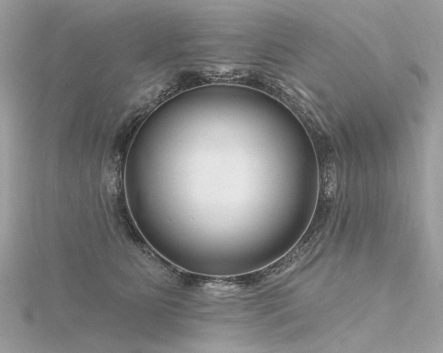 X0000116340515200912011352