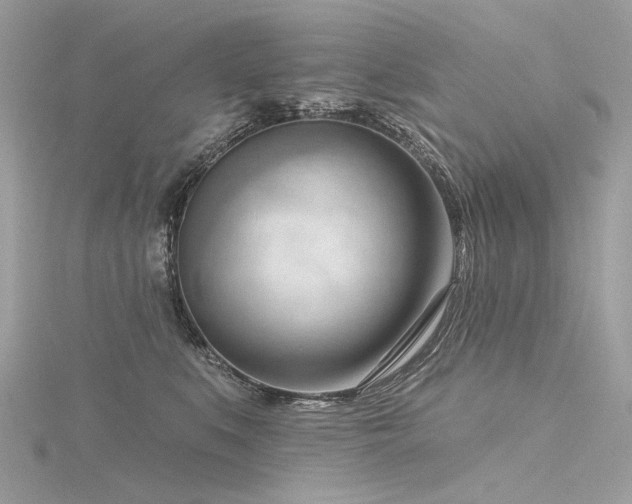 X0000116340519200912011352