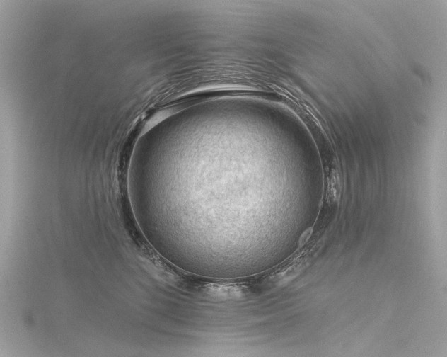 X0000116340520200912011352