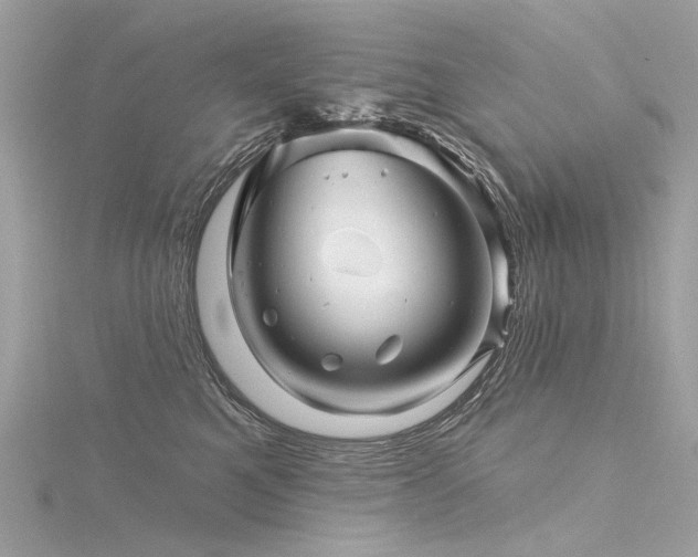 X0000116340521200912011352