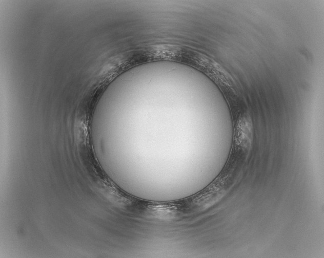 X0000116340522200912011352