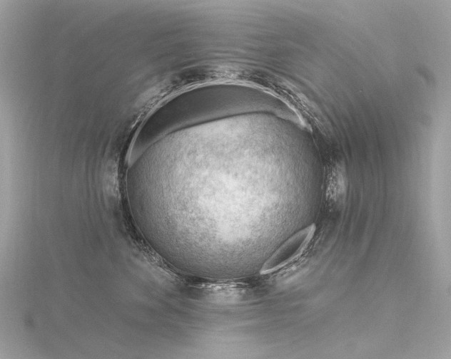 X0000116340524200912011352