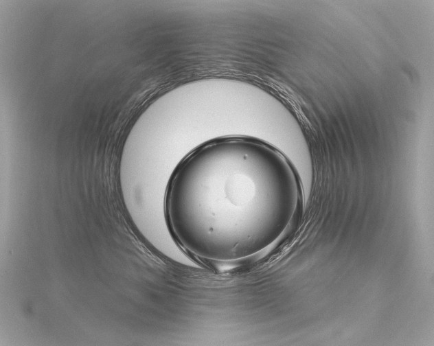 X0000116340525200912011352