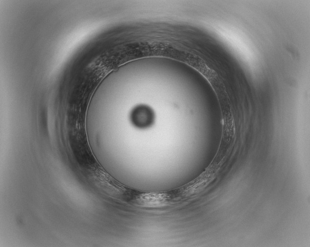 X0000116340526200912011352