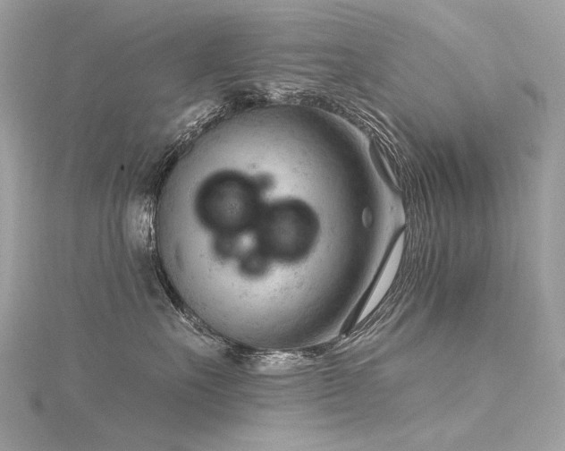 X0000116340527200912011352