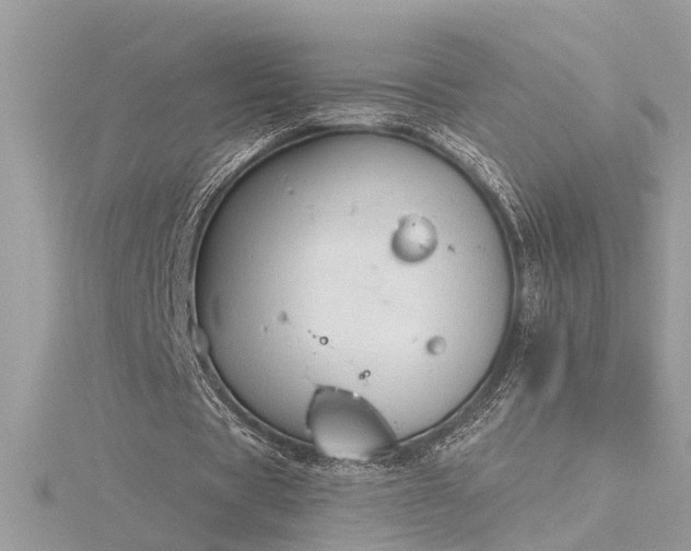 X0000116340529200912011351