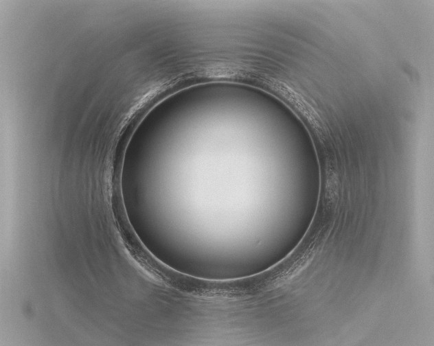 X0000116340530200912011351