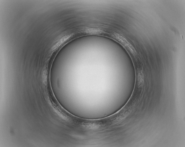 X0000116340533200912011351