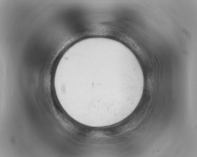 X0000116340534200912011351