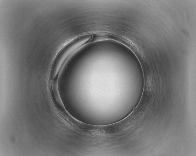 X0000116340535200912011351