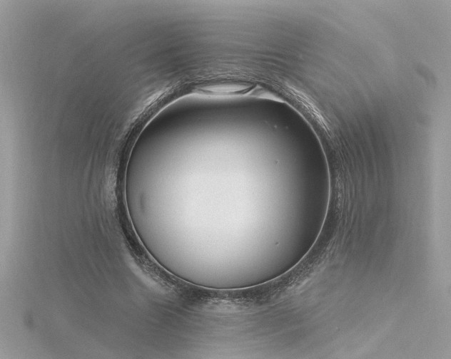 X0000116340538200912011351