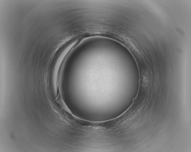 X0000116340539200912011351