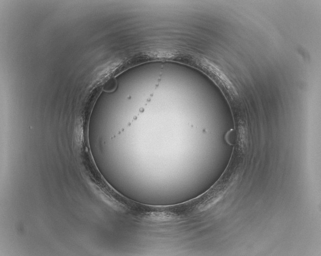 X0000116340541200912011351