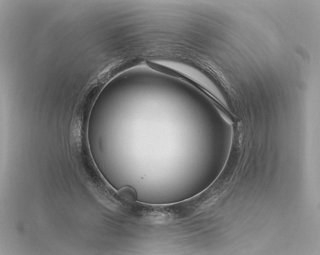 X0000116340542200912011352