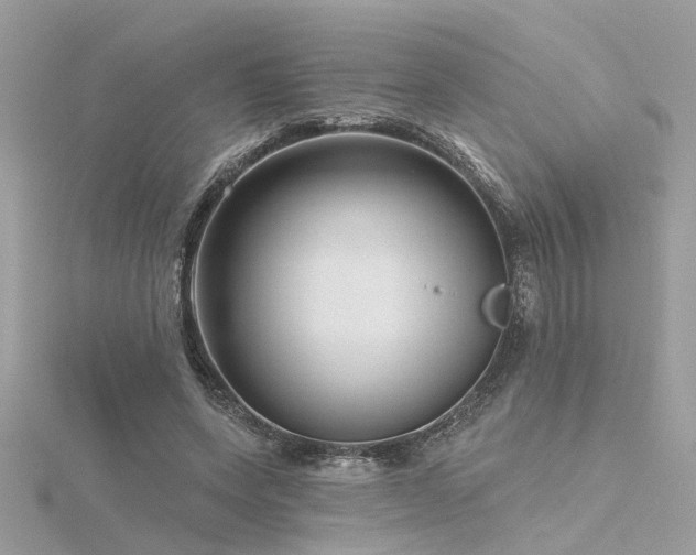 X0000116340543200912011352