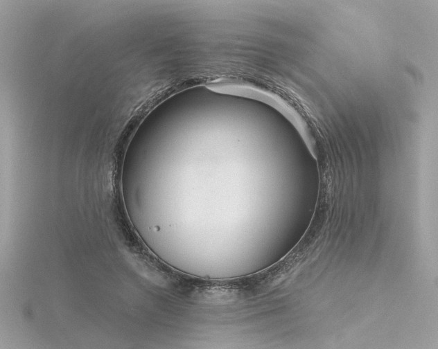 X0000116340546200912011352