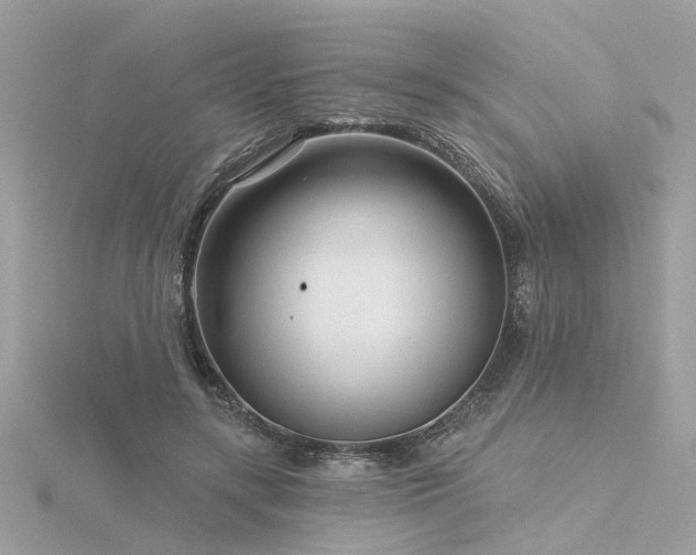 X0000116340547200912011352