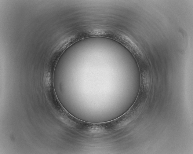 X0000116340549200912011352