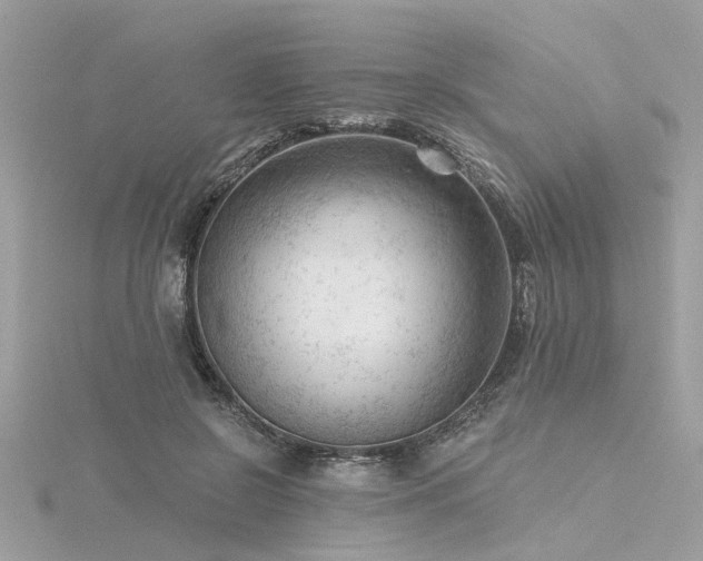 X0000116340550200912011352