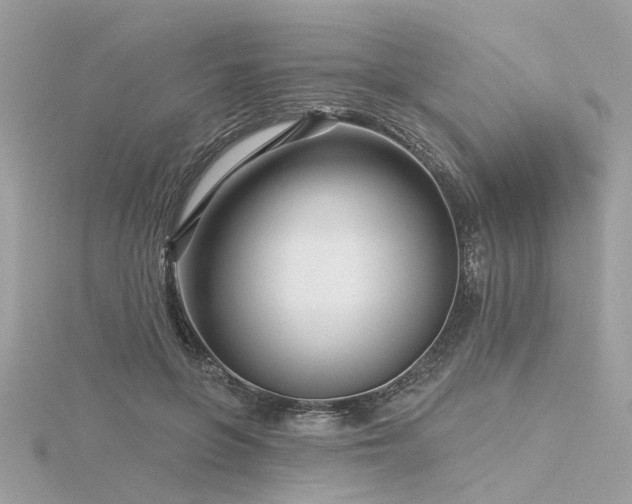 X0000116340551200912011352